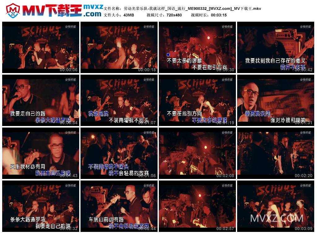 劳动光荣乐队-我就这样_国语_流行_ME900332